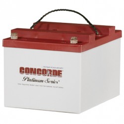Concorde RG-24-20 Recombinant Gas Sealed Lead Acid Battery, 24V Cb RG24-20